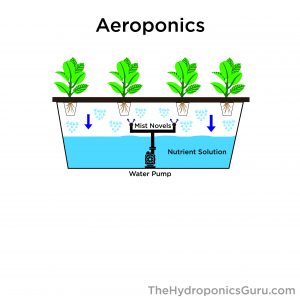 aeroponics hydroponics