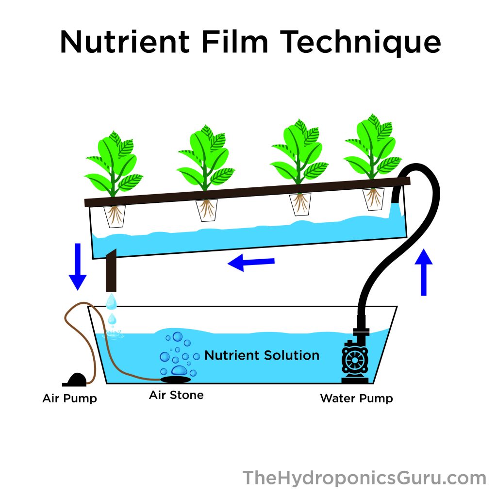 nft hydroponics