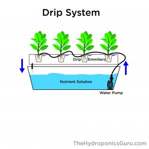 drip grow hydroponics