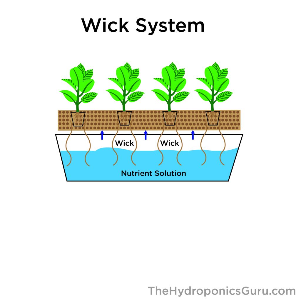 wick system hydroponics