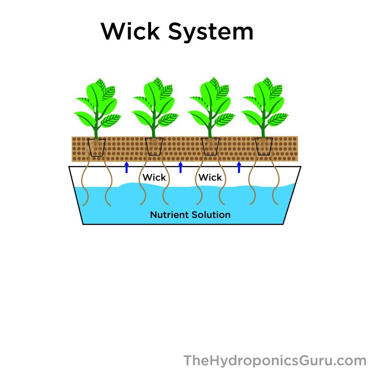How the Wick Hydroponics System Works The Hydroponics Guru