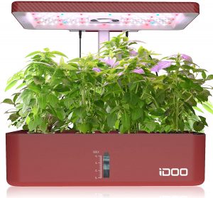 iDOO Indoor Herb Garden 1