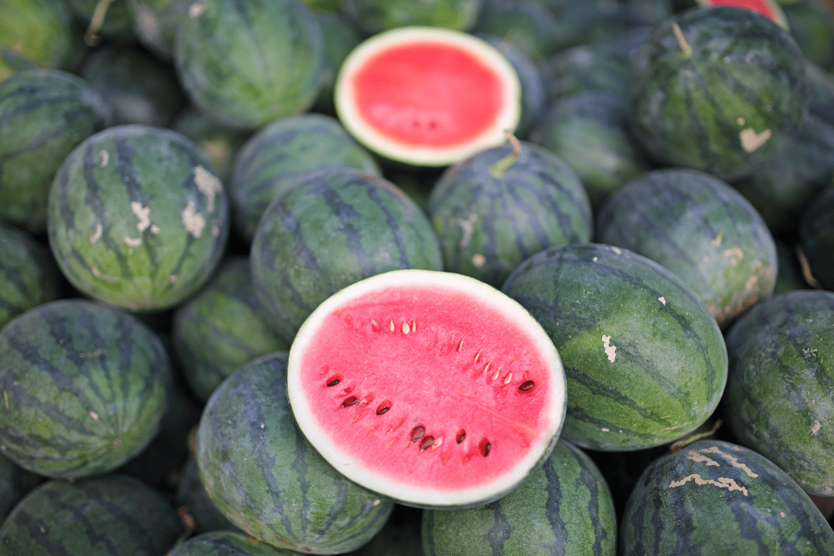 How A Hydroponic Grow System Can Help You Grow Fresh Product At Home