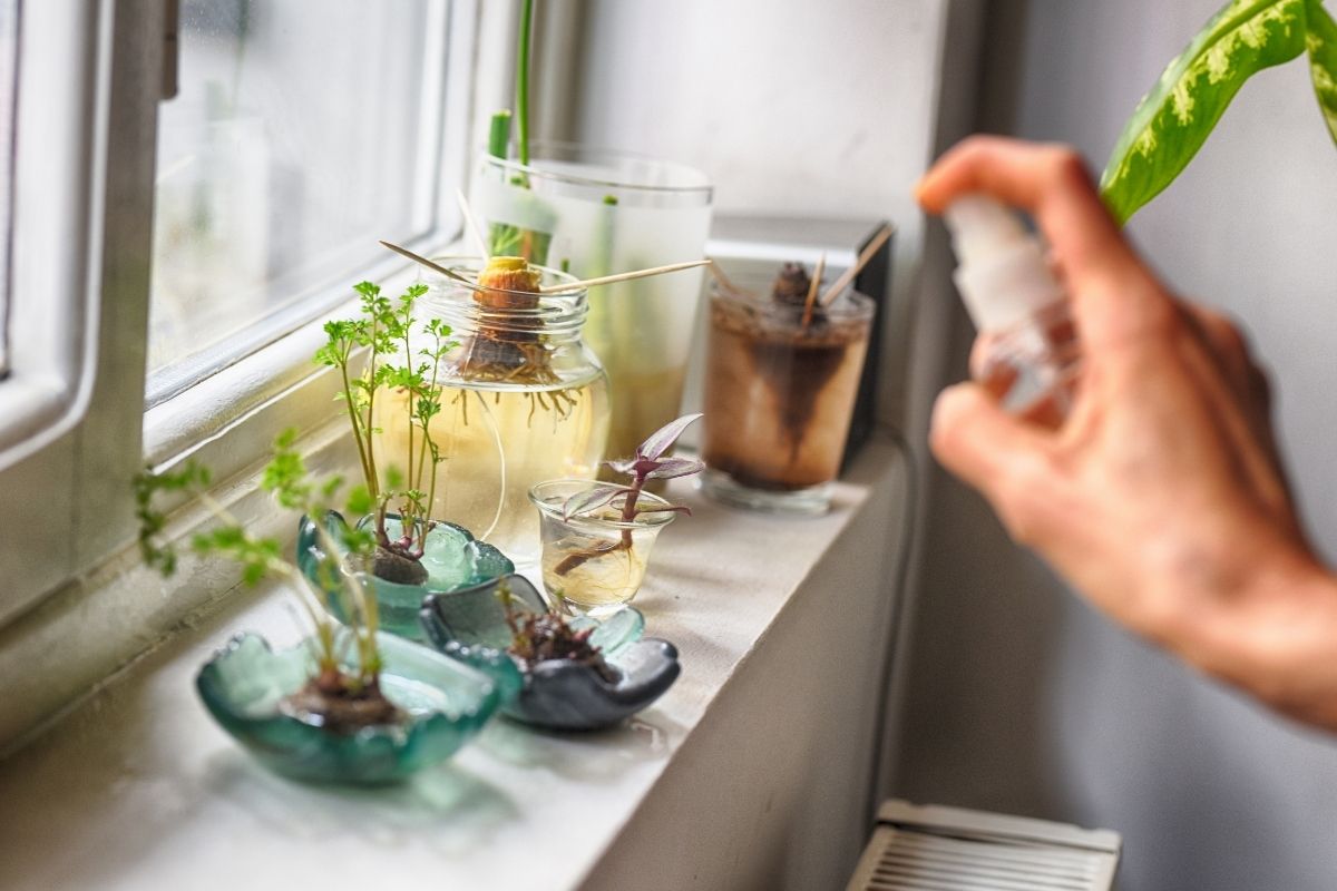 How An Indoor Garden System Can Freshen Up Your Home The Hydroponics Guru