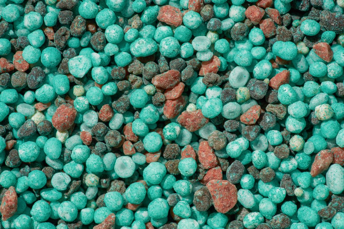 What Is A Hydroponic Fertilizer And Why It Is Important The