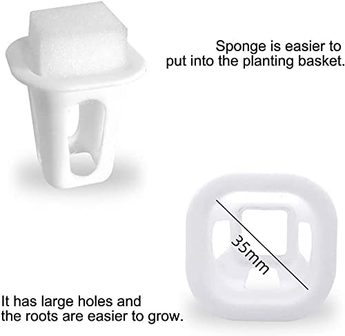 LAPOND Hydroponic Grow Kit Sponge